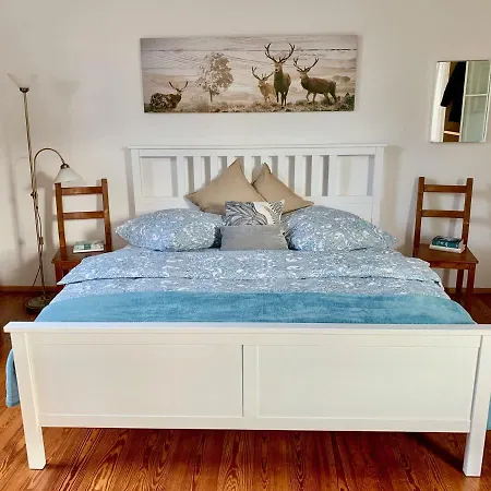 Deluxe Business Landenberger 公寓 梅青根