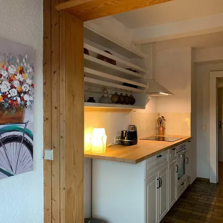 Deluxe Business Landenberger 公寓 梅青根