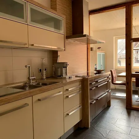 公寓 Deluxe Business Landenberger *