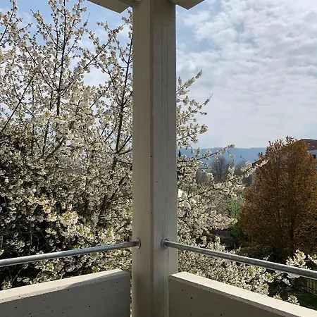 Deluxe Business Landenberger 公寓 梅青根